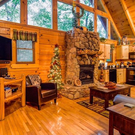 Beary Cozy Cabin 세비어빌 외부 사진