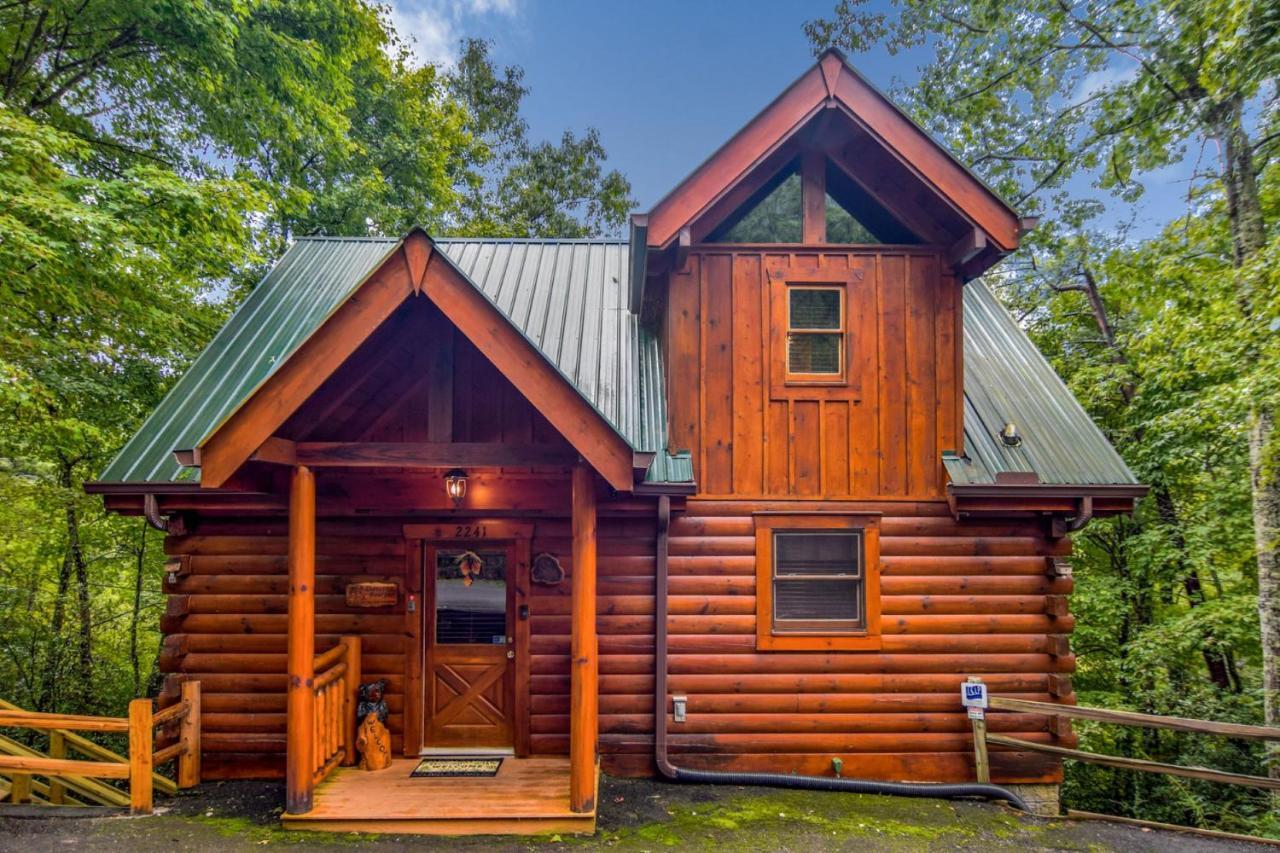 Beary Cozy Cabin 세비어빌 외부 사진