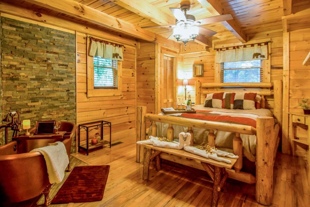 Beary Cozy Cabin 세비어빌 외부 사진