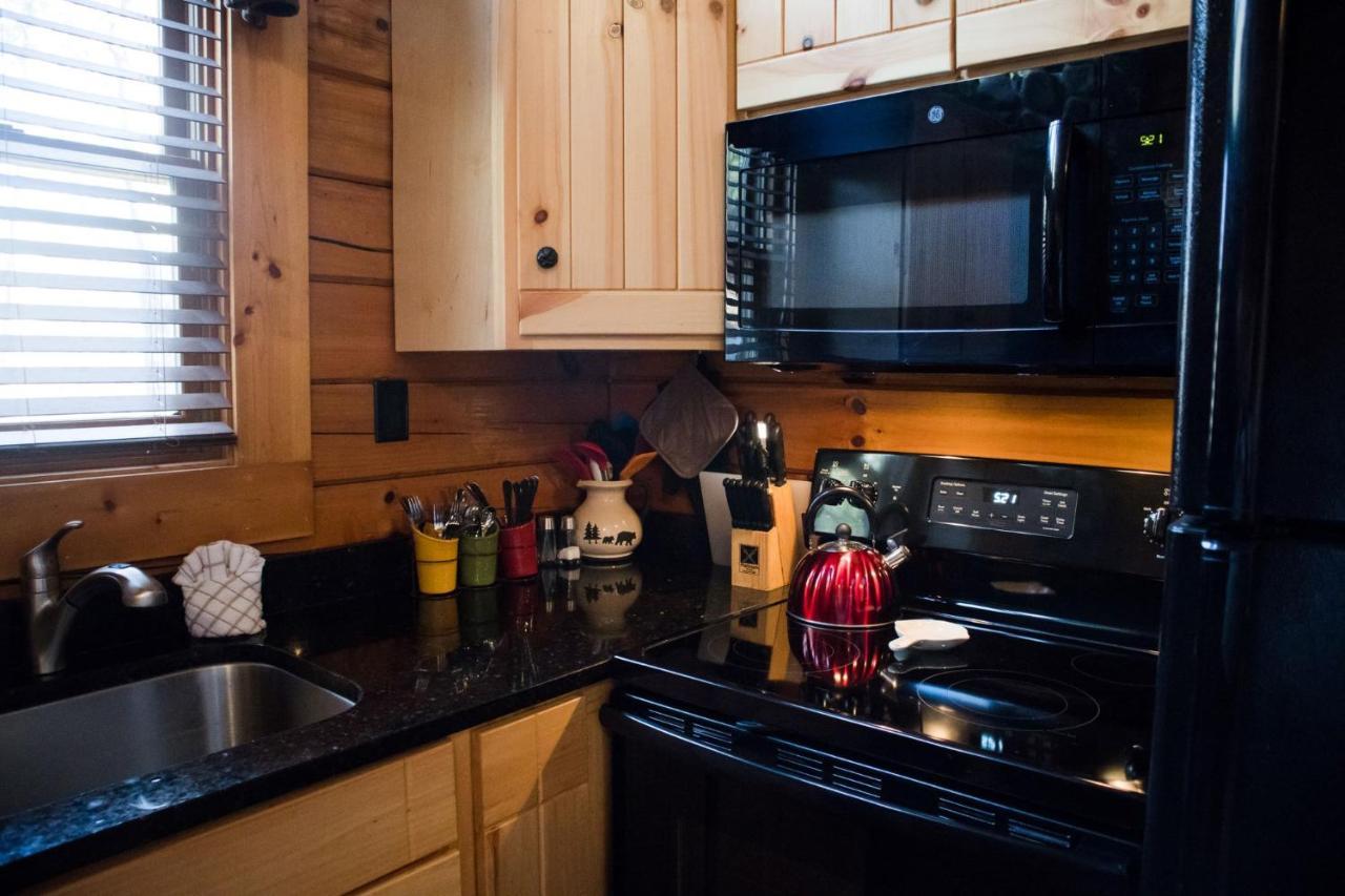 Beary Cozy Cabin 세비어빌 외부 사진